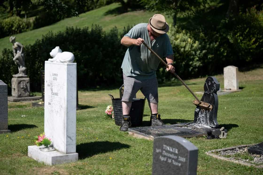 Many plots at the Pet Cemetary serve as the resting place for both pets and owners Many plots at the Pet Cemetary serve as the resting place for both pets and owners