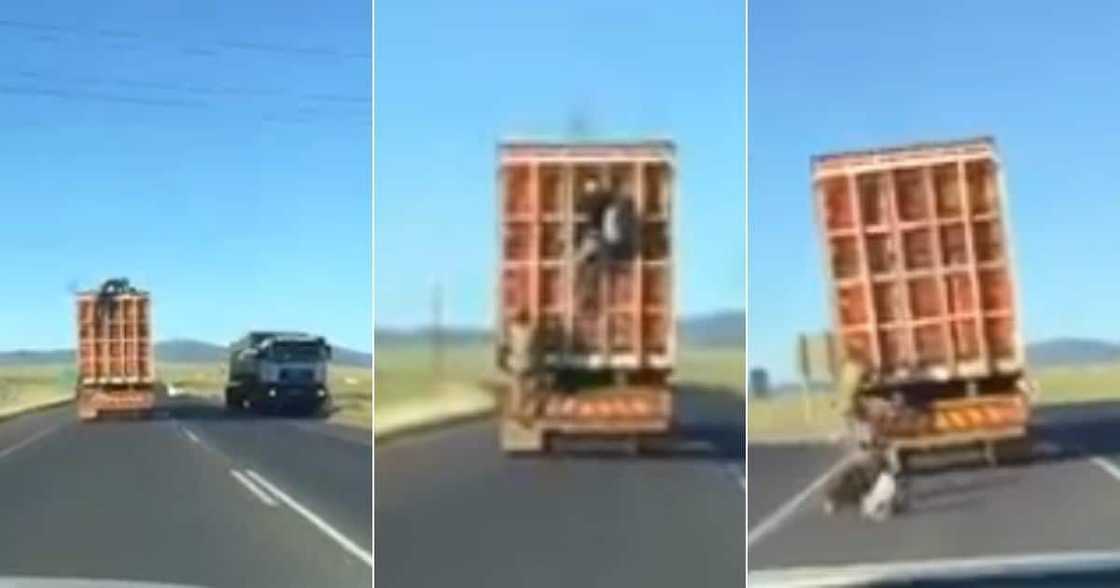 Social media users, in disbelief, as they react, to video, of tsotsi, robbing truck Social media users, in disbelief, as they react, to video, of tsotsi, robbing truck
