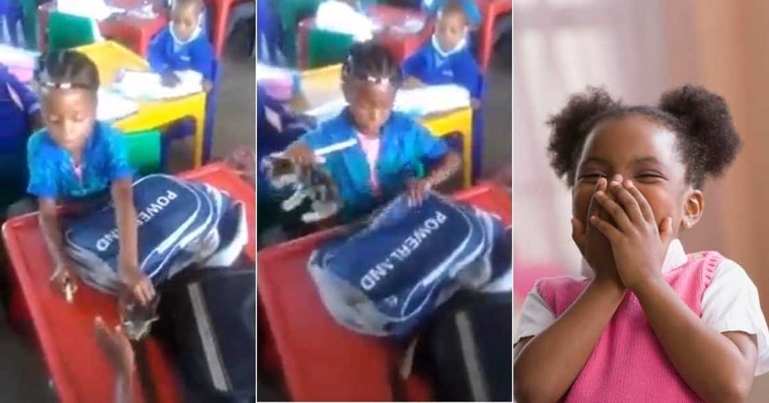 Cat, Girl, School, Video, South Africa, Mzansi Cat, Girl, School, Video, South Africa, Mzansi