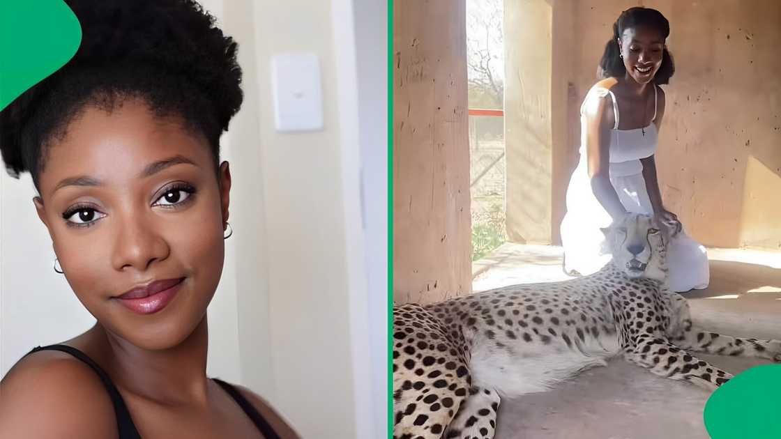 A woman showcased her horrifying experience with a cheetah. A woman showcased her horrifying experience with a cheetah.