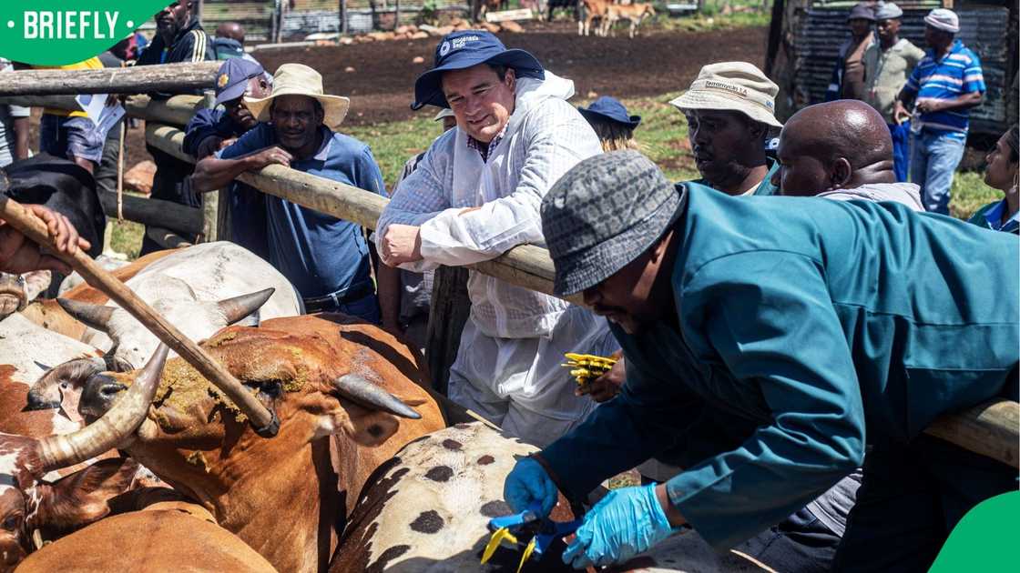 Farming groups have welcomed John Steenhuisen’s demotion
