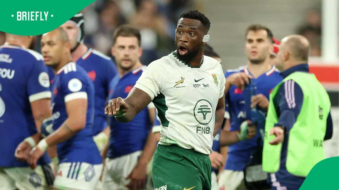 Siya Kolisi, Springboks, Italy, Autumn Series Siya Kolisi, Springboks, Italy, Autumn Series