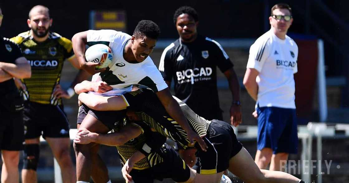 Commander in Chief: SA born rugby coach makes it big in Russia Commander in Chief: SA born rugby coach makes it big in Russia