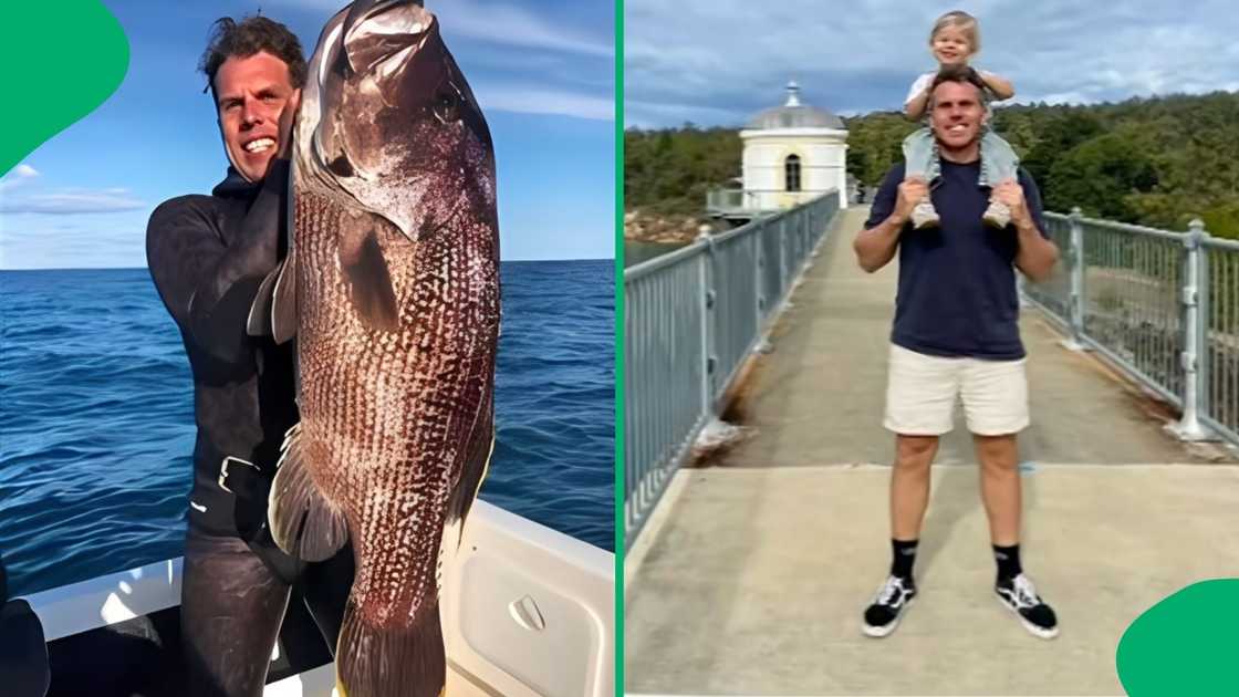 The man had been spearfishing with his friend in the deep sea when the incident occurred The man had been spearfishing with his friend in the deep sea when the incident occurred