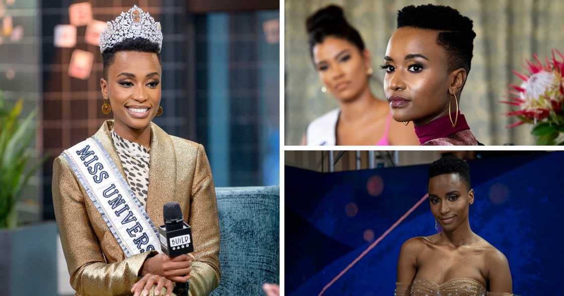 Zozibini Tunzi went on to win Miss Universe 2019 after being crowned Miss SA Zozibini Tunzi went on to win Miss Universe 2019 after being crowned Miss SA