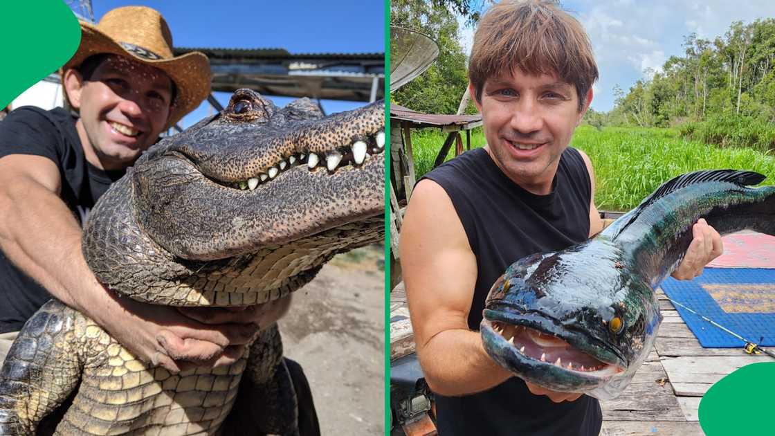 The internet was watching with bated breath when a man took a dangerous swim with a king cobra. The internet was watching with bated breath when a man took a dangerous swim with a king cobra.