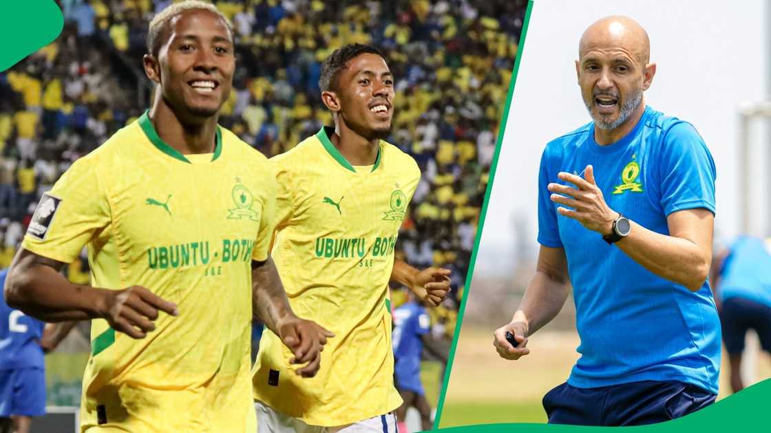 Lucas Ribeiro has been a star player for Miguel Cardoso's Mamelodi Sundowns side. Lucas Ribeiro has been a star player for Miguel Cardoso's Mamelodi Sundowns side.