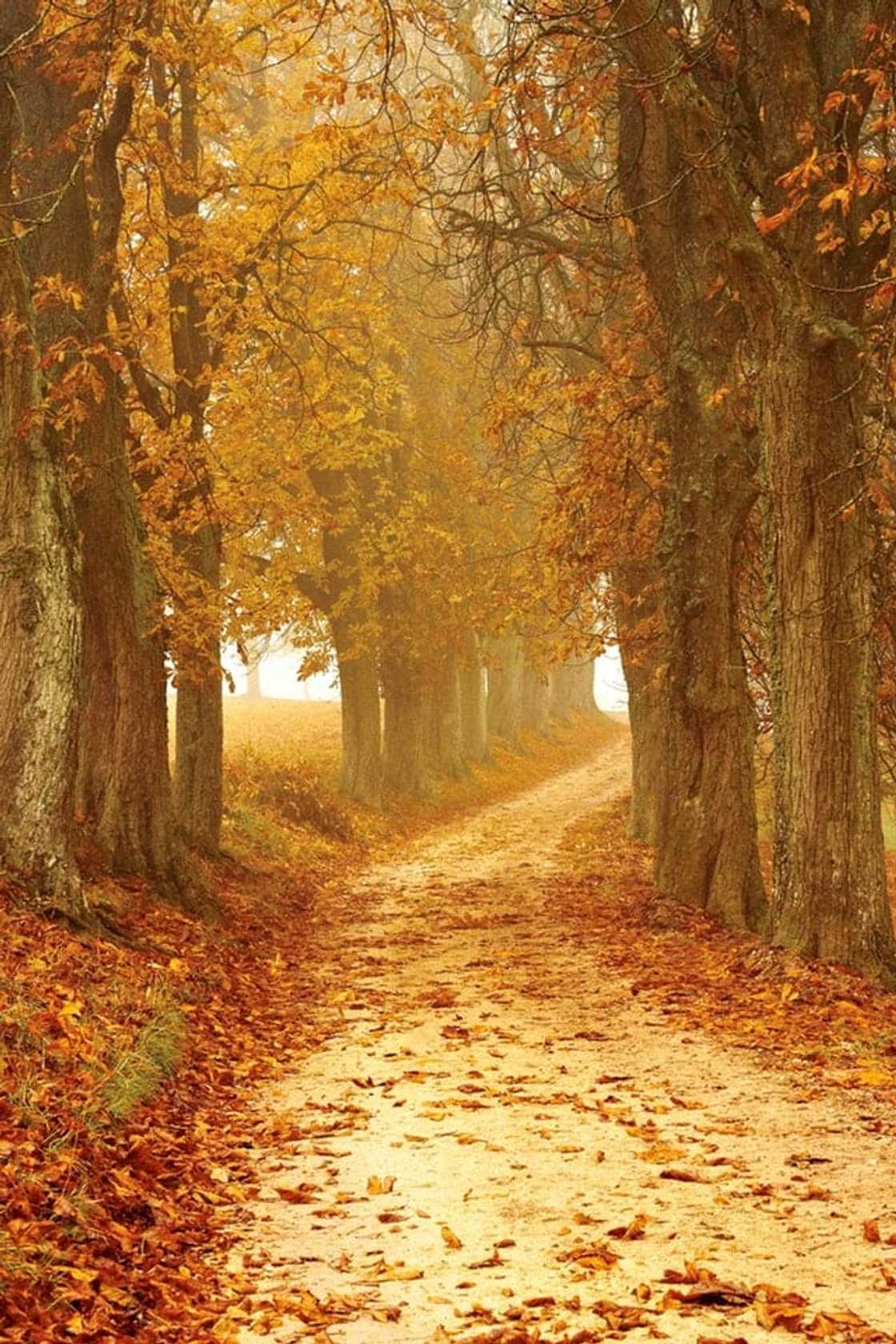 Weather and seasons in South Africa: Here's all you need to know Weather and seasons in South Africa: Here's all you need to know