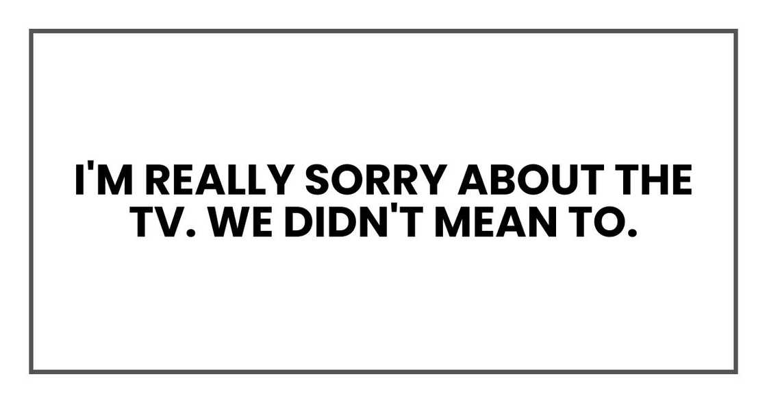 I'm really sorry about the TV. We didn't mean to. I'm really sorry about the TV. We didn't mean to.
