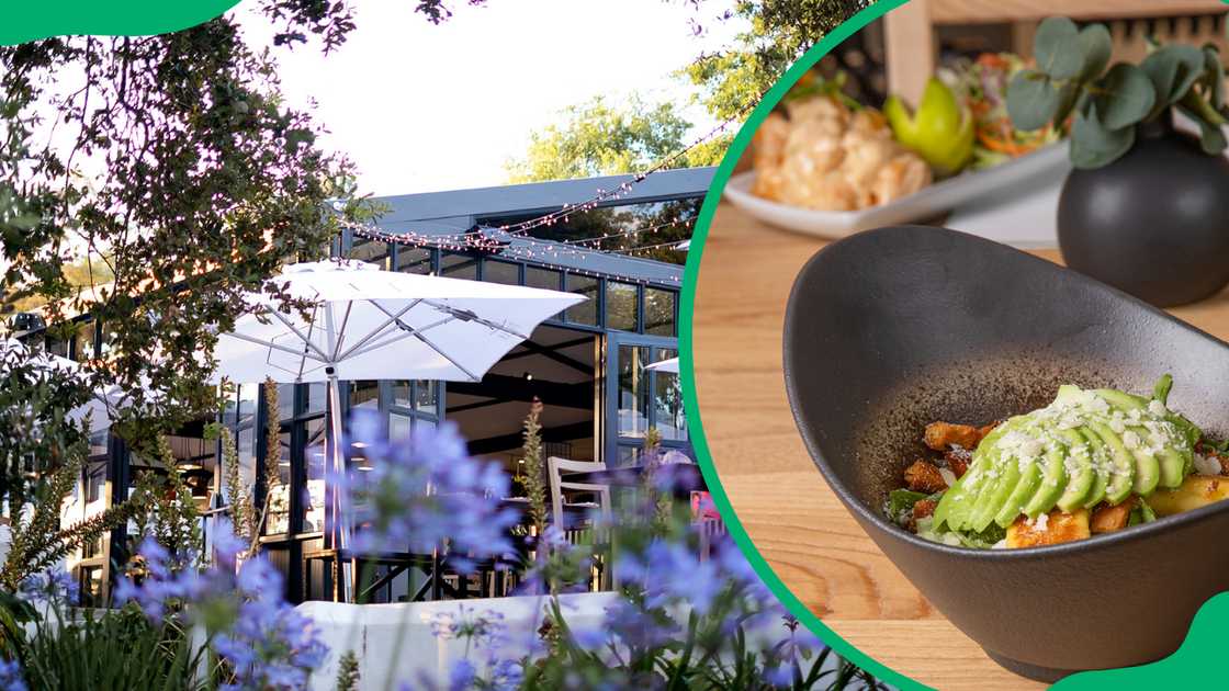 The Terrace @ D’Aria The Terrace @ D’Aria