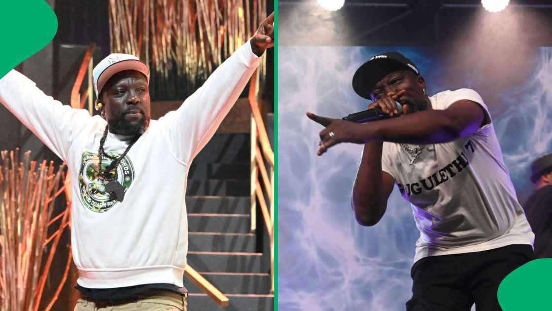 Zola 7 was recently praised online by a fan. Zola 7 was recently praised online by a fan.