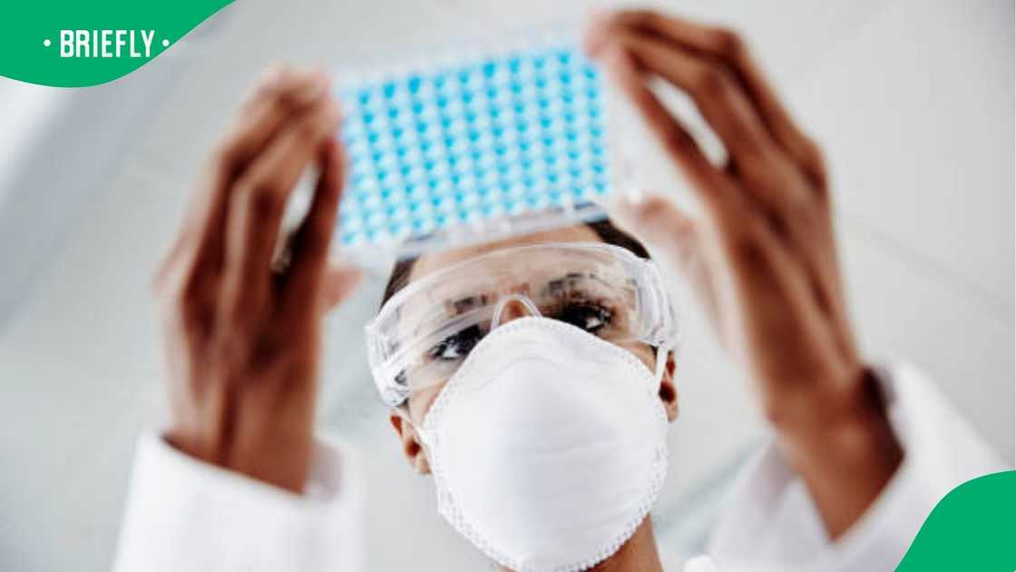 Study a the UFS Study a the UFS