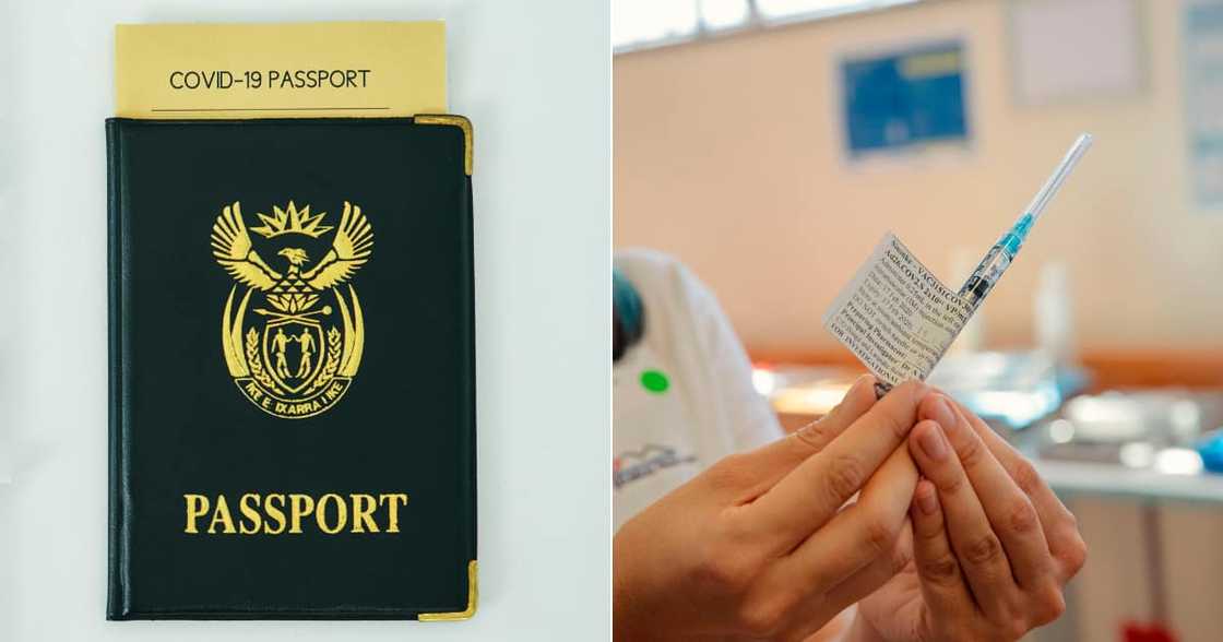 Covid 19, Coronavirus, Vaccine Passport, Digital System, Exclude Unvaccinated Department of Health Covid 19, Coronavirus, Vaccine Passport, Digital System, Exclude Unvaccinated Department of Health