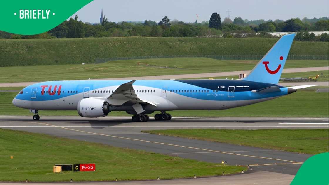 The Boeing 787-9 Dreamliner was immediately grounded at London Gatwick airport while specialist traps were laid out inside the cabin The Boeing 787-9 Dreamliner was immediately grounded at London Gatwick airport while specialist traps were laid out inside the cabin