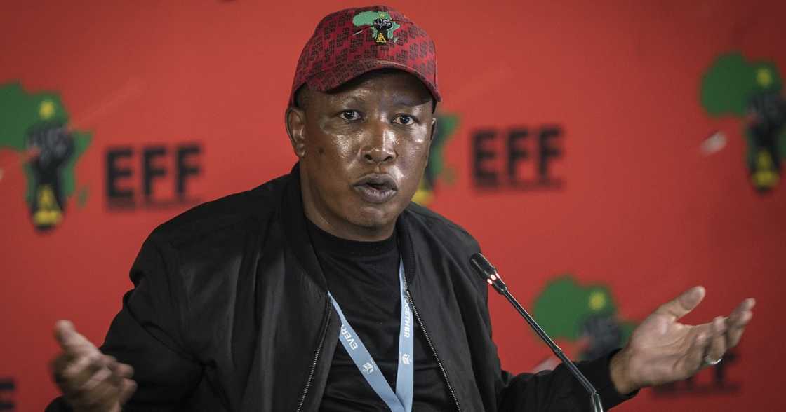 Department of Labour, Calls out Julius Malema, restaurant raids, Midrand, Mall of Africa, foreign nationals, employment ratios Department of Labour, Calls out Julius Malema, restaurant raids, Midrand, Mall of Africa, foreign nationals, employment ratios