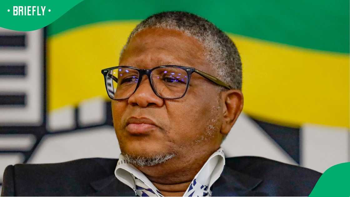 Brown Mogotsi made numerous allegations about Fikile Mbalula