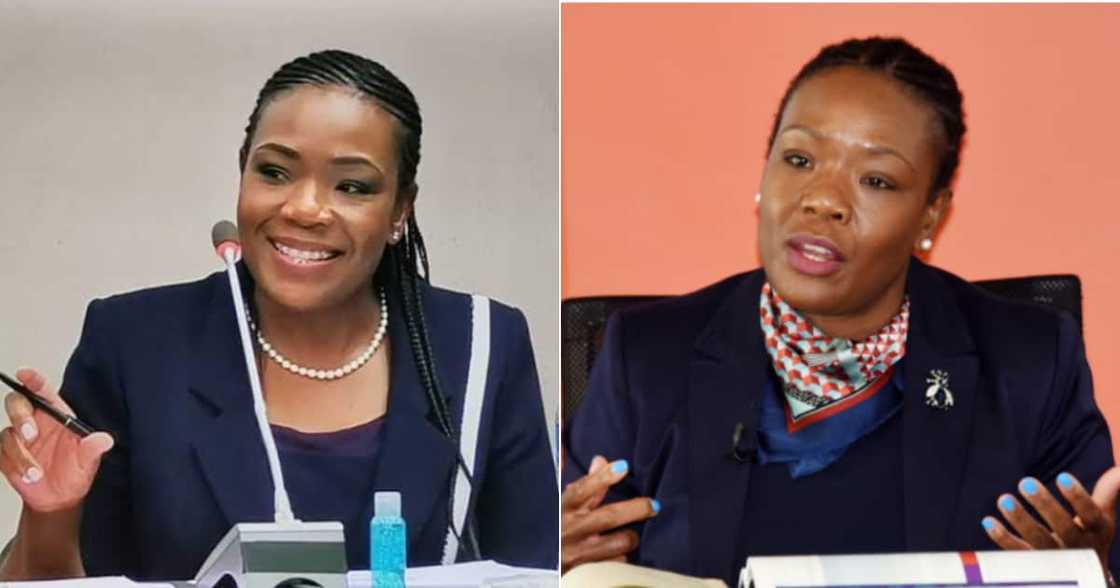 Auditor General, AG, Tsakani Maluleke, Municipalities, Free State, Consultants, Audit Auditor General, AG, Tsakani Maluleke, Municipalities, Free State, Consultants, Audit