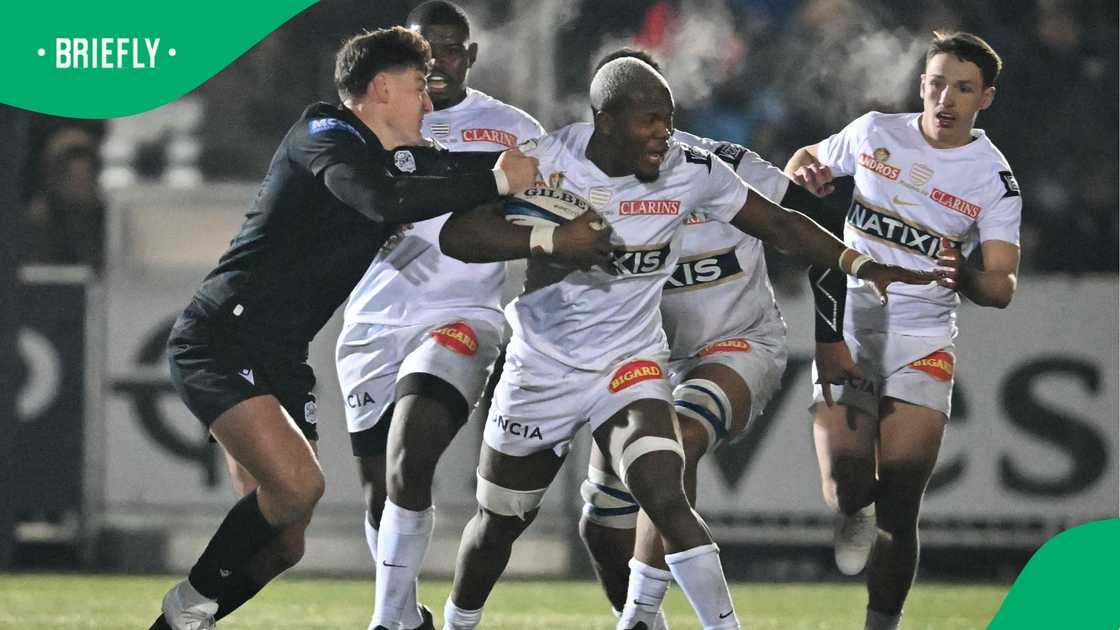 Hacjivah Dayimani, European Champions Cup, Glasgow Warriors and Racing 92. Hacjivah Dayimani, European Champions Cup, Glasgow Warriors and Racing 92.