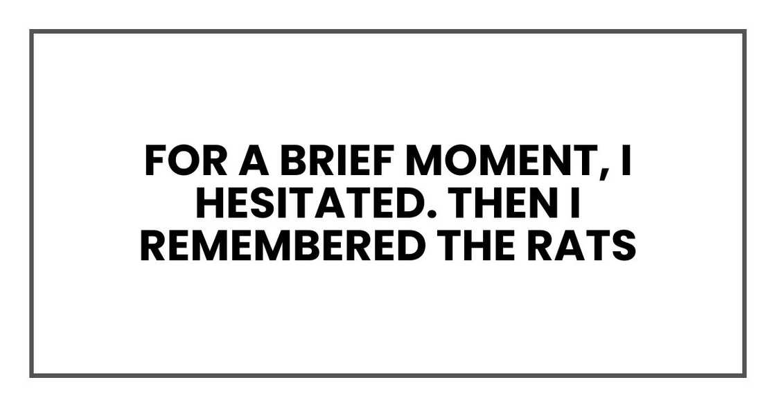 For a brief moment, I hesitated. Then I remembered the rats