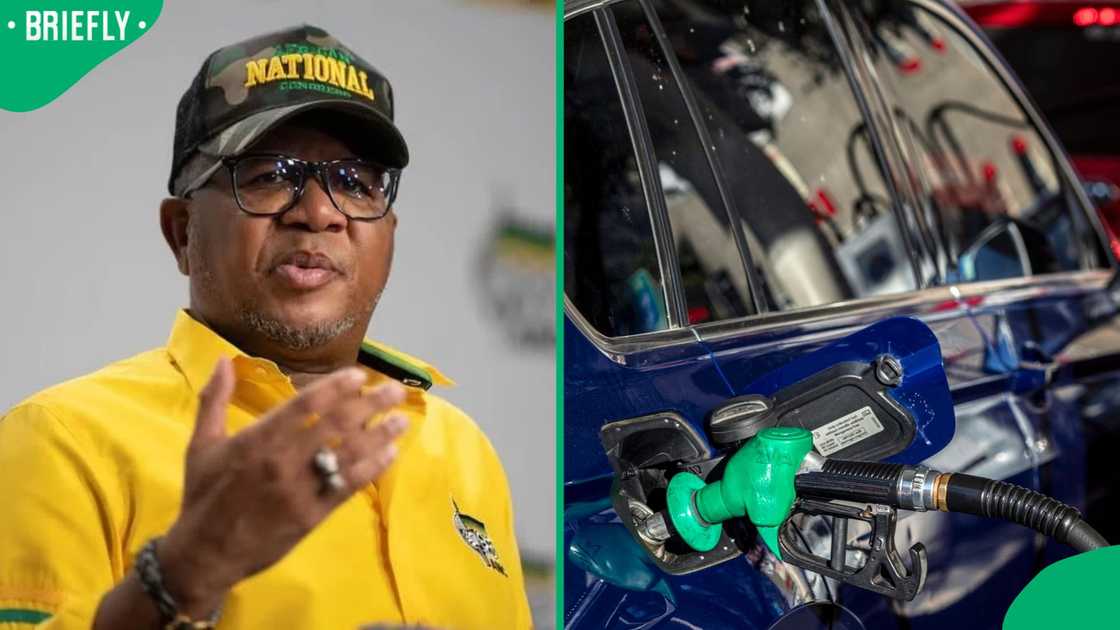 Fikile Mbalula hailed the fuel levy cuts Fikile Mbalula hailed the fuel levy cuts