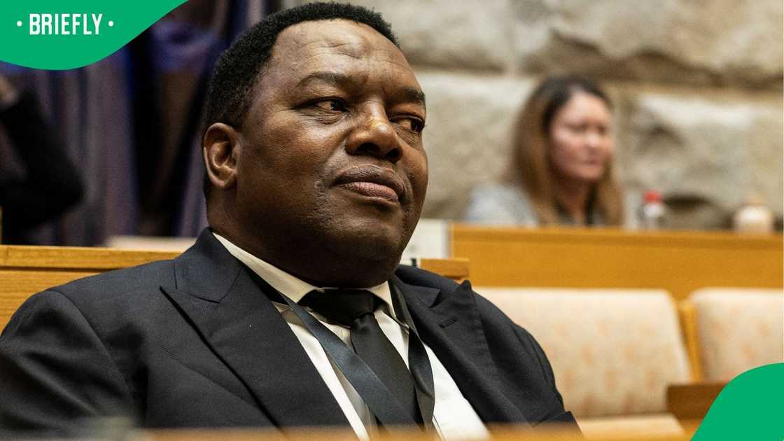 General Fannie Masemola said cartels plotted against National Commissioners General Fannie Masemola said cartels plotted against National Commissioners