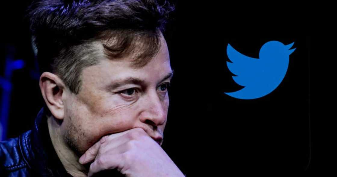 Elon Musk became the new owner of Twitter and fired four top execs Elon Musk became the new owner of Twitter and fired four top execs