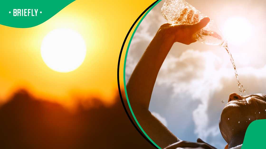 El Niño could bring scorching heat and dry conditions to South Africa