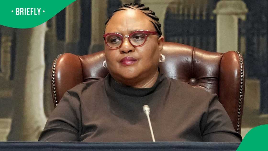 National Assembly speaker, Thoko Didiza National Assembly speaker, Thoko Didiza