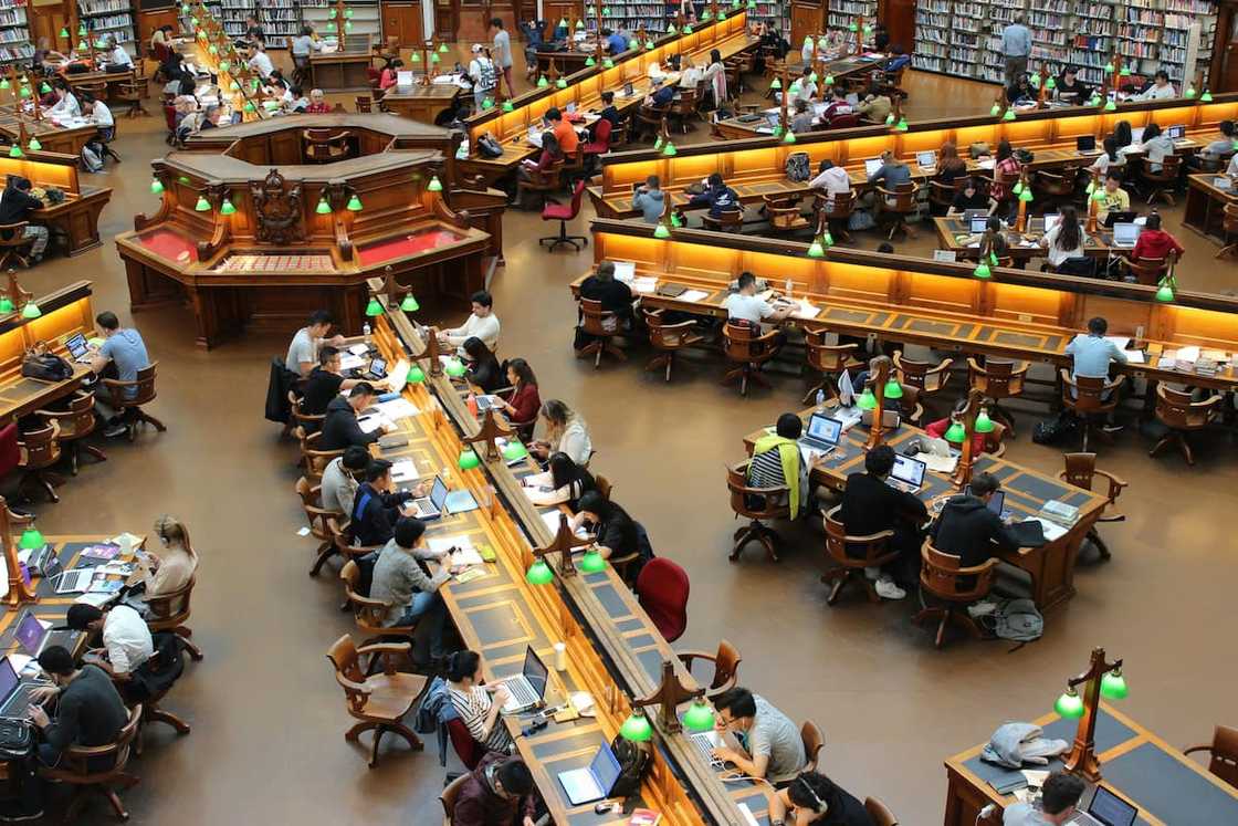 Students in a library