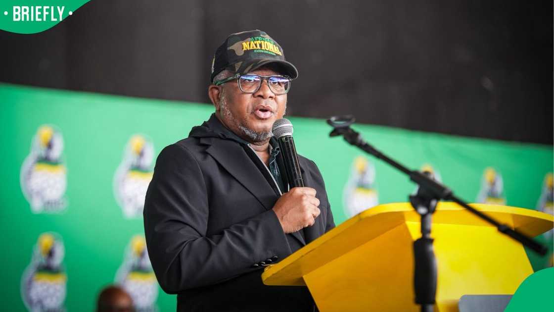 Fikile Mbalula has urged citizens to stop calling foreigners 'amakwerekwere’