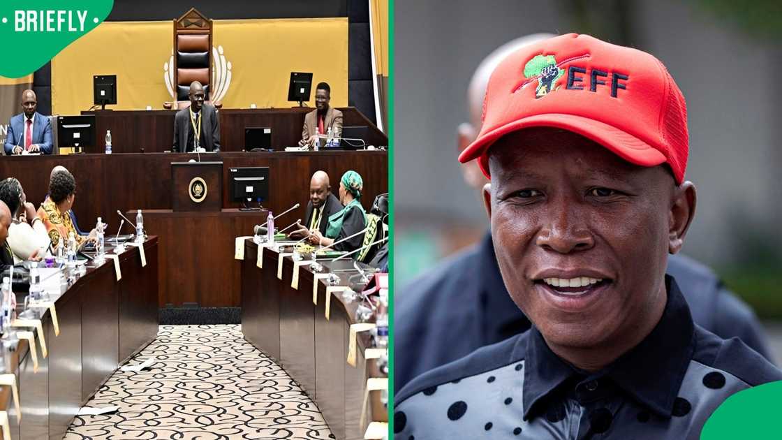 The Impeachment Committee will oppose the EFF's urgen court bid The Impeachment Committee will oppose the EFF's urgen court bid