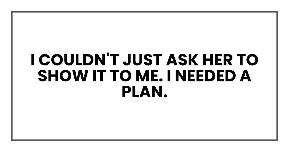 I couldn't just ask her to show it to me. I needed a plan. I couldn't just ask her to show it to me. I needed a plan.