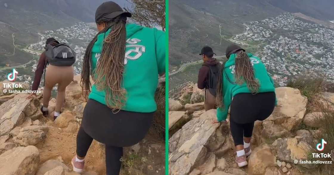 Cape Town hikers trekked Lion's Head Cape Town hikers trekked Lion's Head