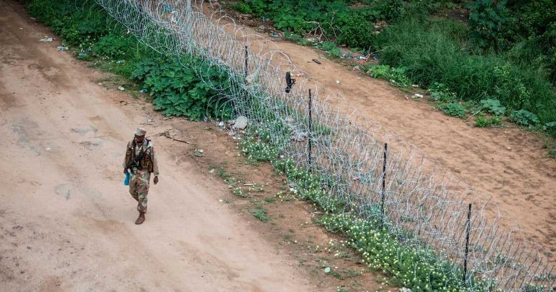 Beitbridge fence won't be fixed, Patricia de Lille tells Parliament