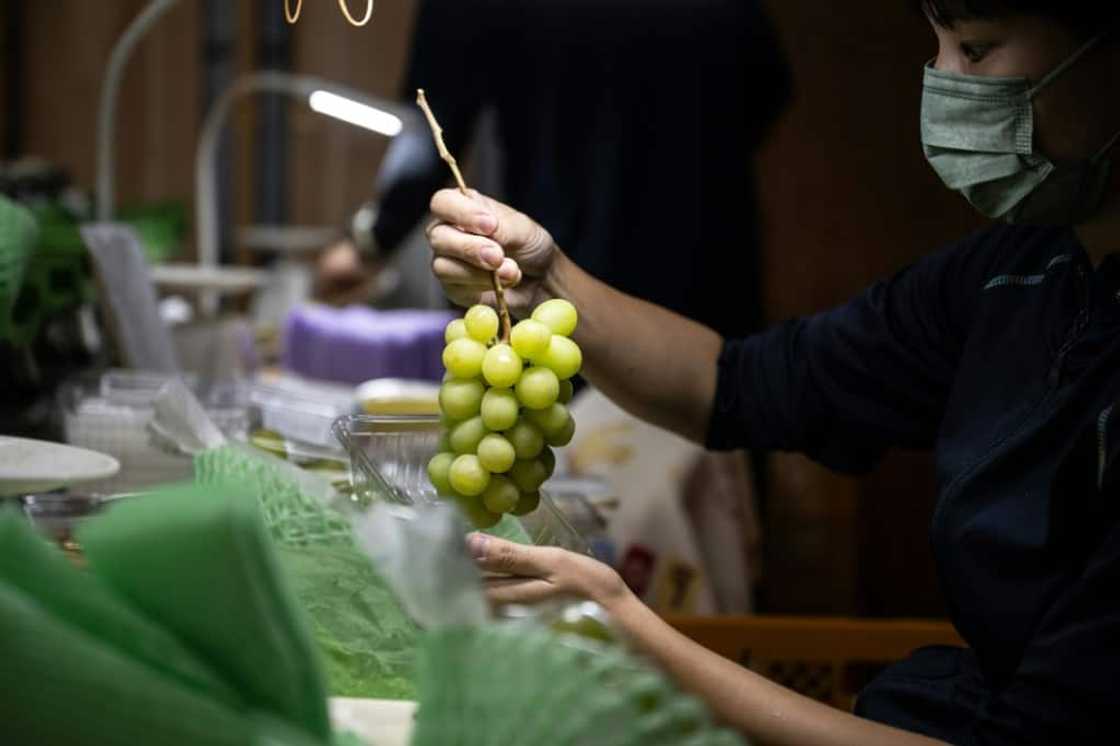 In the view of Japanese farmers and officials, the chunky emerald-green Shine Muscat, one of many fruit varieties created by Japan, has been 'stolen' by China and South Korea In the view of Japanese farmers and officials, the chunky emerald-green Shine Muscat, one of many fruit varieties created by Japan, has been 'stolen' by China and South Korea