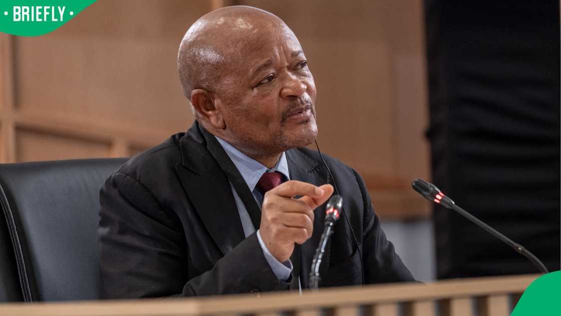 The Ad Hoc Committee's draft report flagged Senzo Mchunu’s conduct