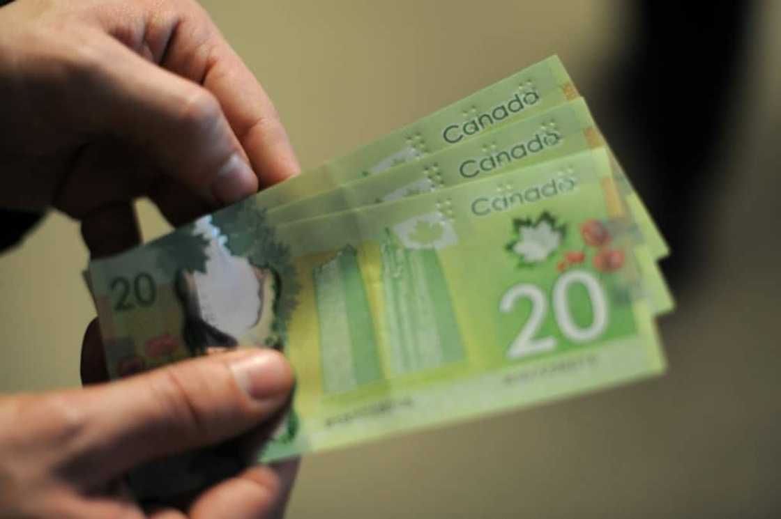 The Bank of Canada started raising rates from a record low in March 2022 in what its governor Tiff Macklem has described as "unusually large steps" -- increments of mostly 50 to 75 basis points The Bank of Canada started raising rates from a record low in March 2022 in what its governor Tiff Macklem has described as "unusually large steps" -- increments of mostly 50 to 75 basis points