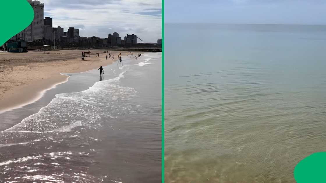 The video shows no wave activity from North Beach all the way to New Pier The video shows no wave activity from North Beach all the way to New Pier