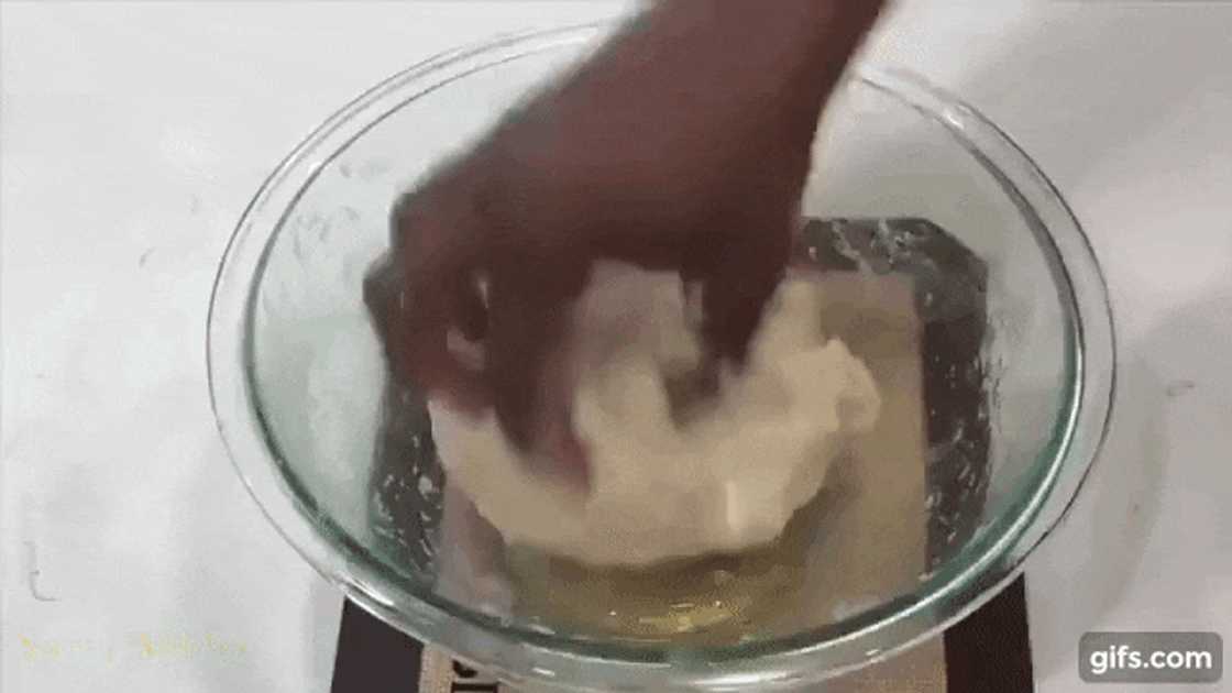 Homemade pizza dough recipe Homemade pizza dough recipe