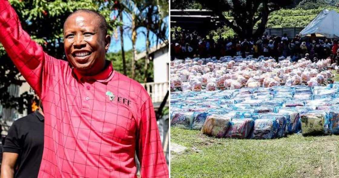 KZN floods, Julius Malema, government, provide land, EFF, land without compensation KZN floods, Julius Malema, government, provide land, EFF, land without compensation