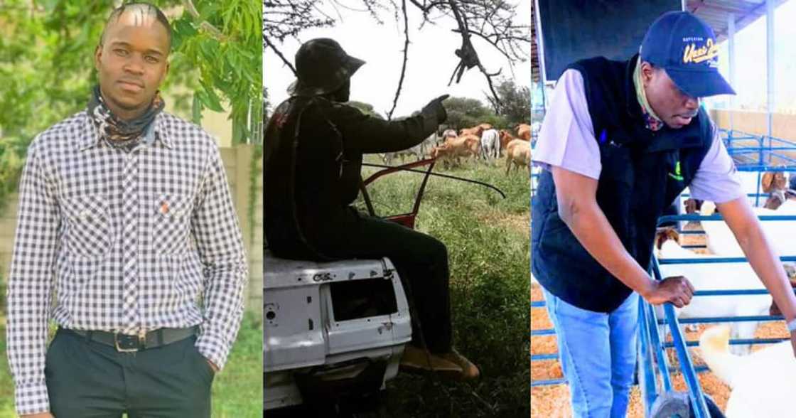 Farmer, interview Farmer, interview