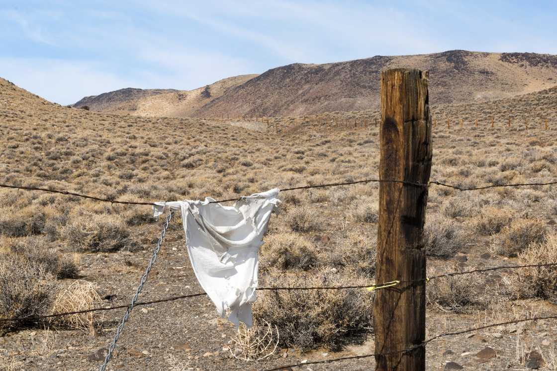 Social media user debated the border division between SA and neighbouring countries Social media user debated the border division between SA and neighbouring countries