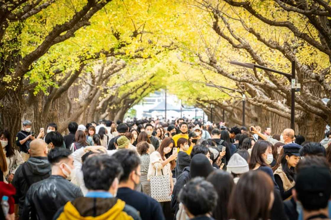 Before the data release, analysts had predicted a pick-up in consumption Before the data release, analysts had predicted a pick-up in consumption