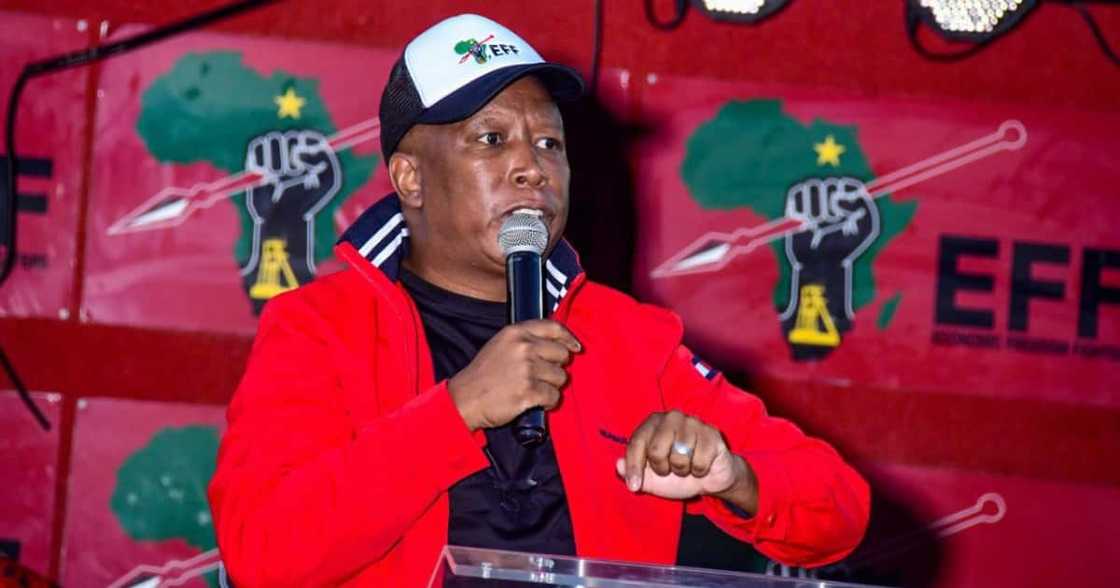 EFF leader Julius Malema address the youth on 16 June in KwaZulu-Natal EFF leader Julius Malema address the youth on 16 June in KwaZulu-Natal