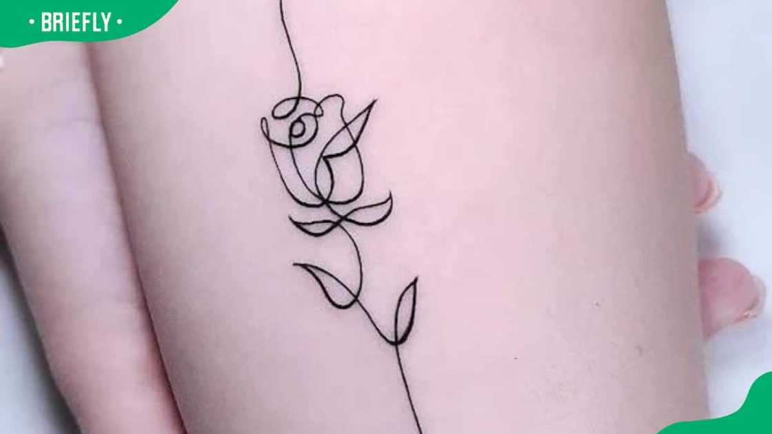 Single line rose tattoo Single line rose tattoo