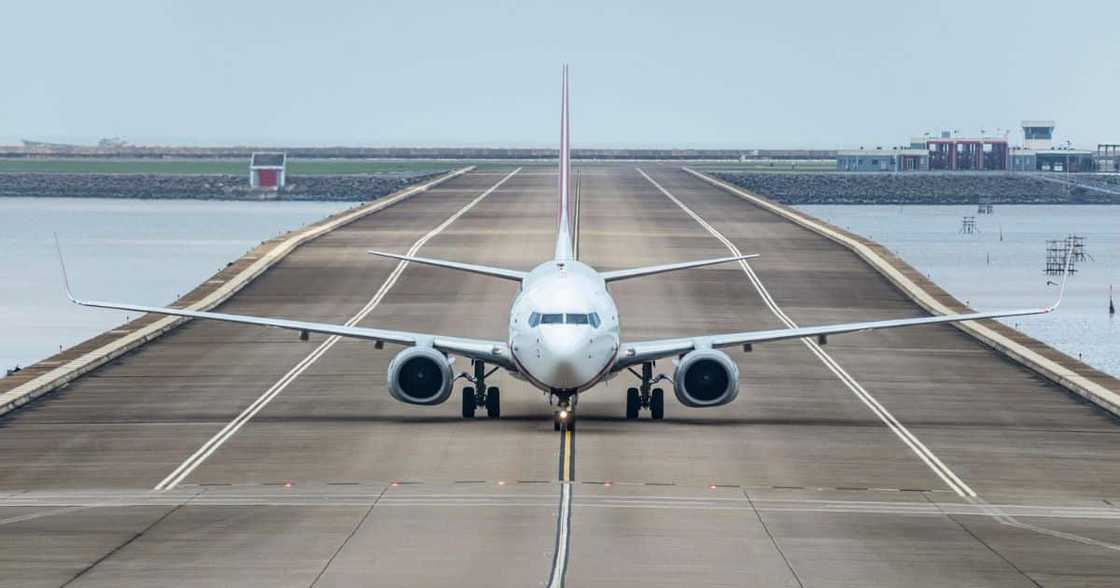 Passenger lands plane Passenger lands plane