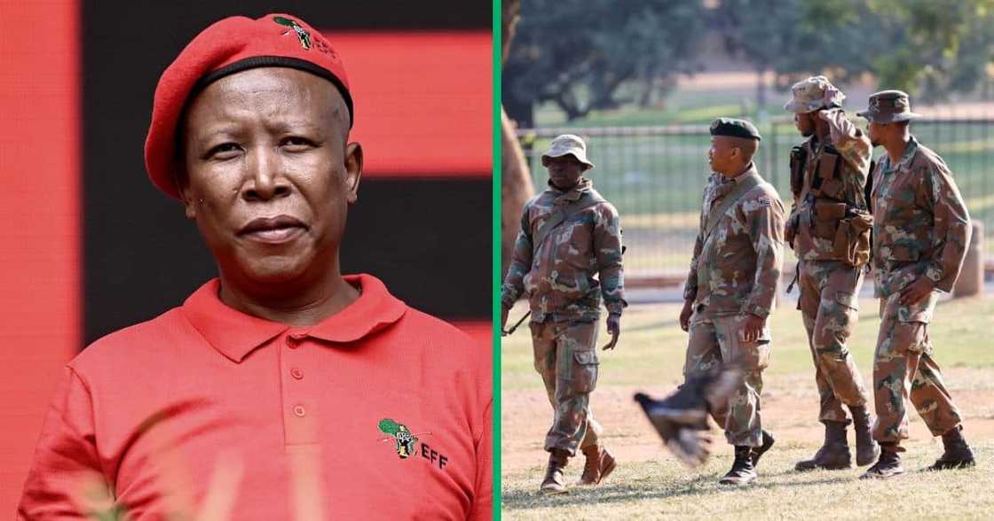 Julius Malema believe the SANDF must recall its troops from the DRC Julius Malema believe the SANDF must recall its troops from the DRC