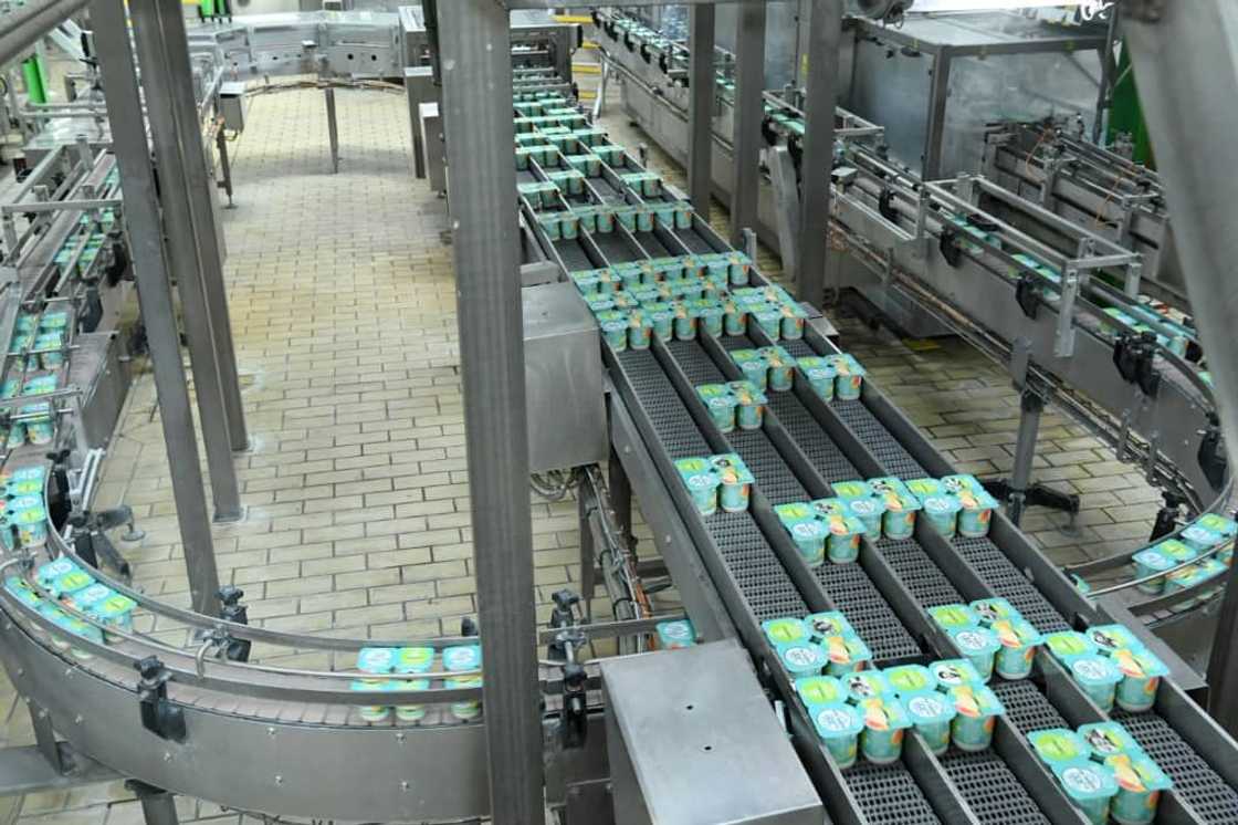 Making yoghurt is energy intensive as you need to pasteurise the milk Making yoghurt is energy intensive as you need to pasteurise the milk