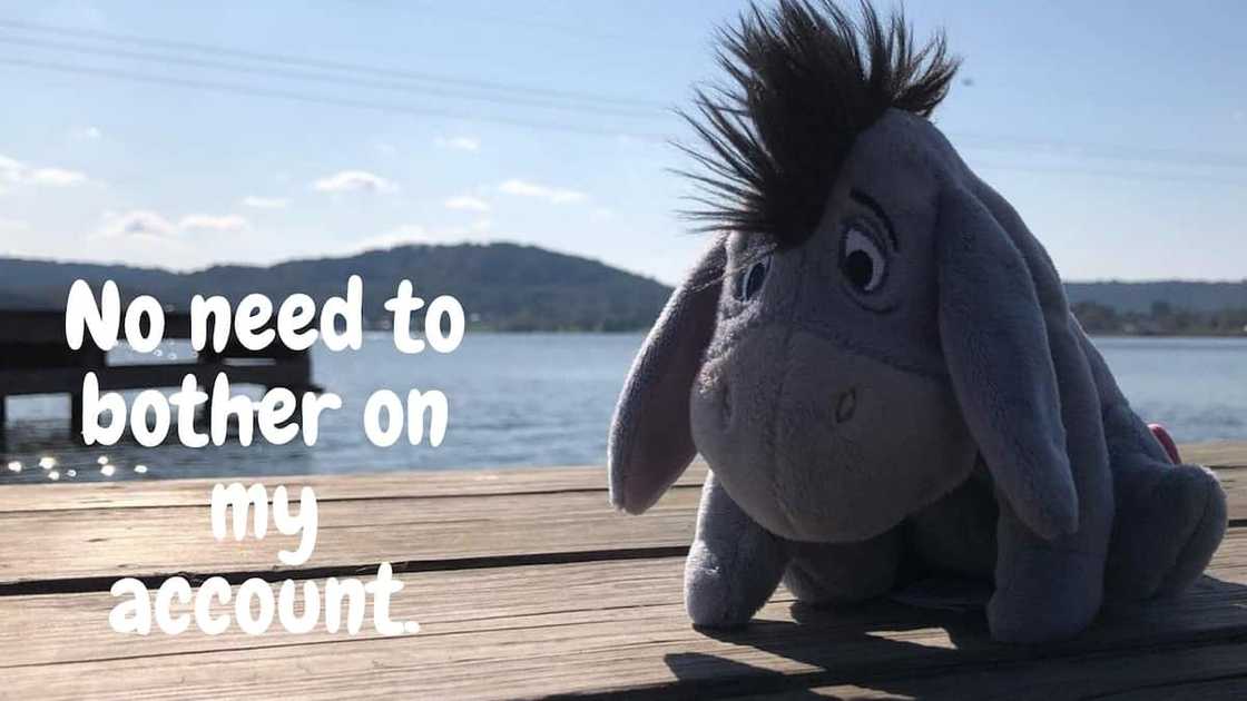Eeyore quotes sad Eeyore quotes sad