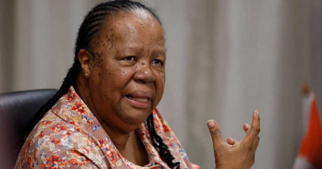 Minister of International Relations and Cooperation Naledi Pandor said the ANC is advocating for peace in Gaza Minister of International Relations and Cooperation Naledi Pandor said the ANC is advocating for peace in Gaza